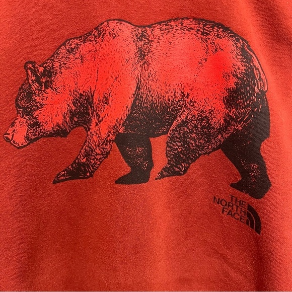 THE NORTH FACE Men's Large Red Bear Pullover Hoodie Sweatshirt TNF - Picture 5 of 15